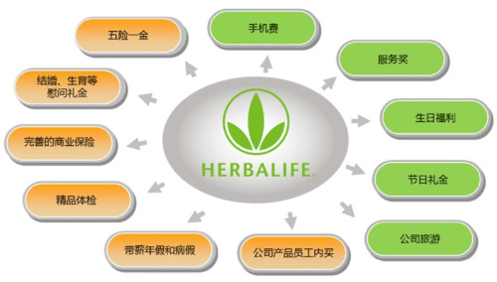 鸟覆危巢 第6页