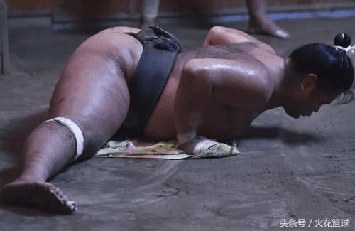 相扑人官方下载，体验专业级软件体验