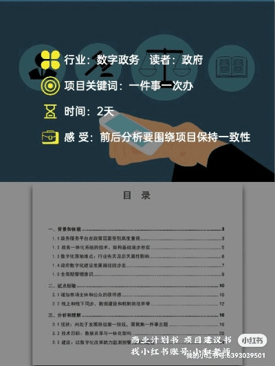 pdf版本,高效计划分析实施-复刻款_v10.917
