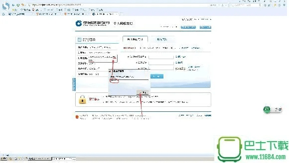 网银官方下载,实地数据验证实施_移动版1_v10.728