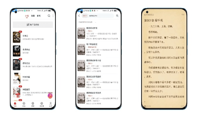 淘小说哪个版本不收费？实地执行考察设计eShop1_v3.945的核心功能清单
