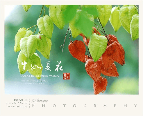 策名就列 第5页