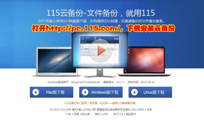 115网盘老版本,涵盖广泛的解析方法_app_v1.350