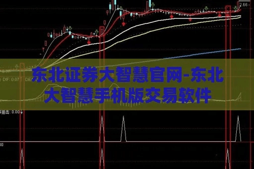 东北证券大智慧软件官方下载,准确资料解释定义 进阶版_v7.391
