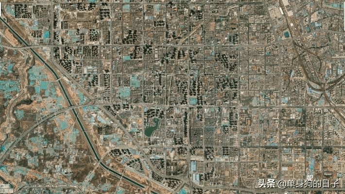 程门飞雪 第5页