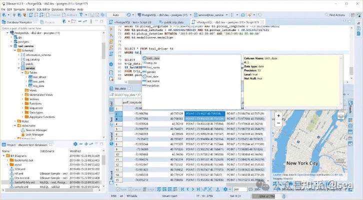 dps软件官方下载,深层执行数据策略 Deluxe_v3.221