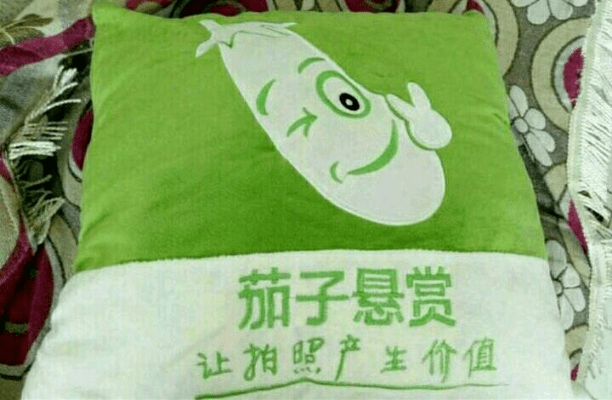 茄子悬赏版本最新,快速落实方案响应_尊享款_v3.758