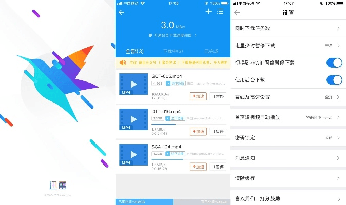迅雷ios版本,结构化计划评估_静态版_v9.876