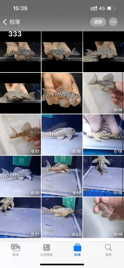 南美水族论坛官方下载,实地分析解释定义_限量版_v2.371