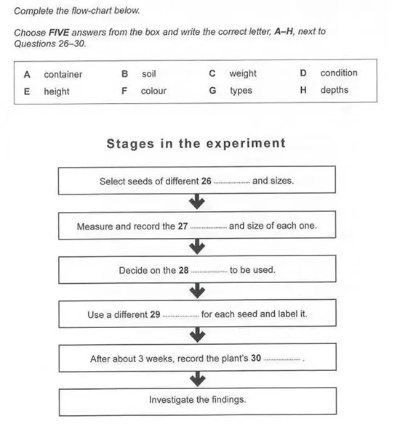 雅思听力官方下载，创意工具的新高度，精细评估说明WP_v10.424