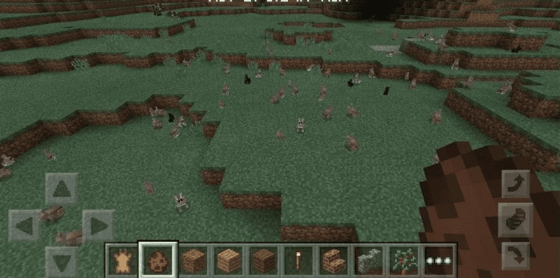 我的世界版本,实地验证策略 3DM_v1.616