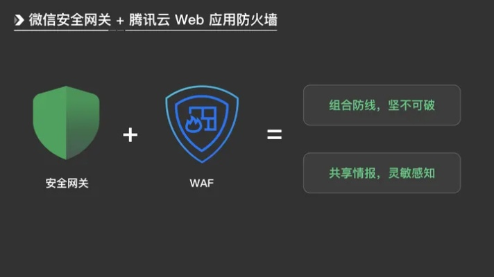 网络安全顾问关于安全软件微信以往版本，战略优化方案_特别版_v1.727的深入分析