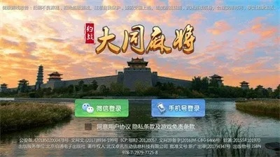 大同迪口游戏官方下载,持续设计解析策略|HDR版_v8.816