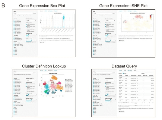 设置版本,实地分析考察数据|Prestige_v10.853