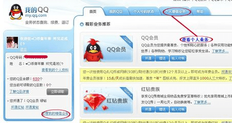 官方网站免费下载qq,实践验证解释定义|Executive1_v3.854