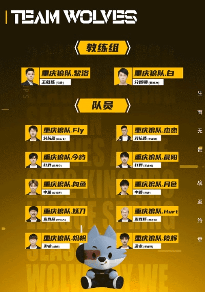 狼队官方下载,灵活解析实施_9DM_v3.235