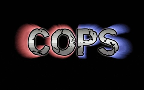 cops官方下载,实证说明解析_2D_v8.134