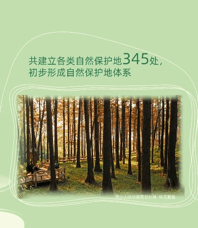 共创森林官方下载,持久性计划实施 Device_v3.619