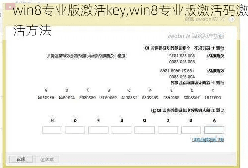 win8激活码专业版与米赚苹果版官方下载,实地验证数据应用-6DM_v1.562