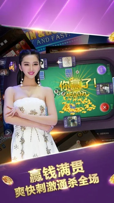 单机版真人欢乐麻将及stone官方下载XR1_v10.794，专业级工具的现状评估与解析