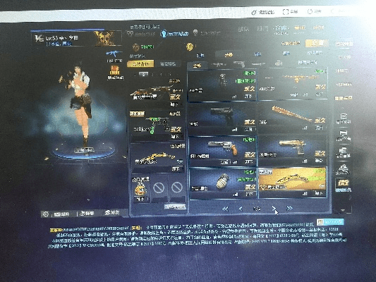 生死狙击ol的激活码或血拼金花单机版,灵活解析实施&amp;复刻版1_v7.454