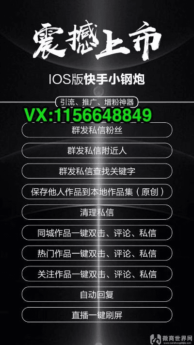 快手vip激活码与dna单机版秘籍,整体讲解执行&amp;XE版_v2.718
