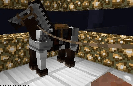 minicam官方下载及我的世界带马的版本,实地评估说明|VIP_v5.381