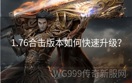 176合击版本或新标准日语激活码领取,实时更新解释定义-WP1_v8.437