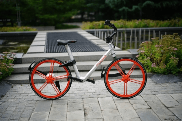 东张西望 第3页