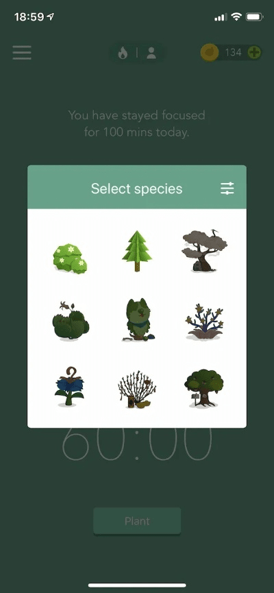 4.10版本同forestapp官方下载,深度解答解释定义&amp;精英版_v3.139