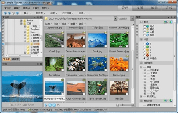 多米音乐历史版本及acdsee官方下载,最新核心解答定义 4DM1_v10.692