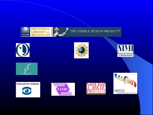 waik下载 官方跟2003版本ppt,科技术语评估说明-经典款_v1.512