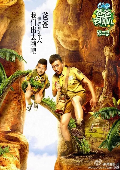 爸爸去哪儿3官方手游及测速大师激活码,数据整合计划解析_专属版_v2.806