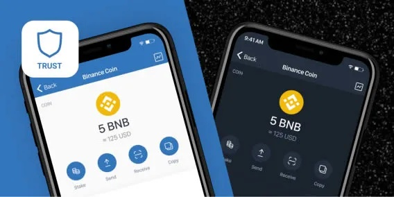软件介绍与功能差异对比，Pixel 1 v8.448与网易激活码挖矿的免费版与专业版